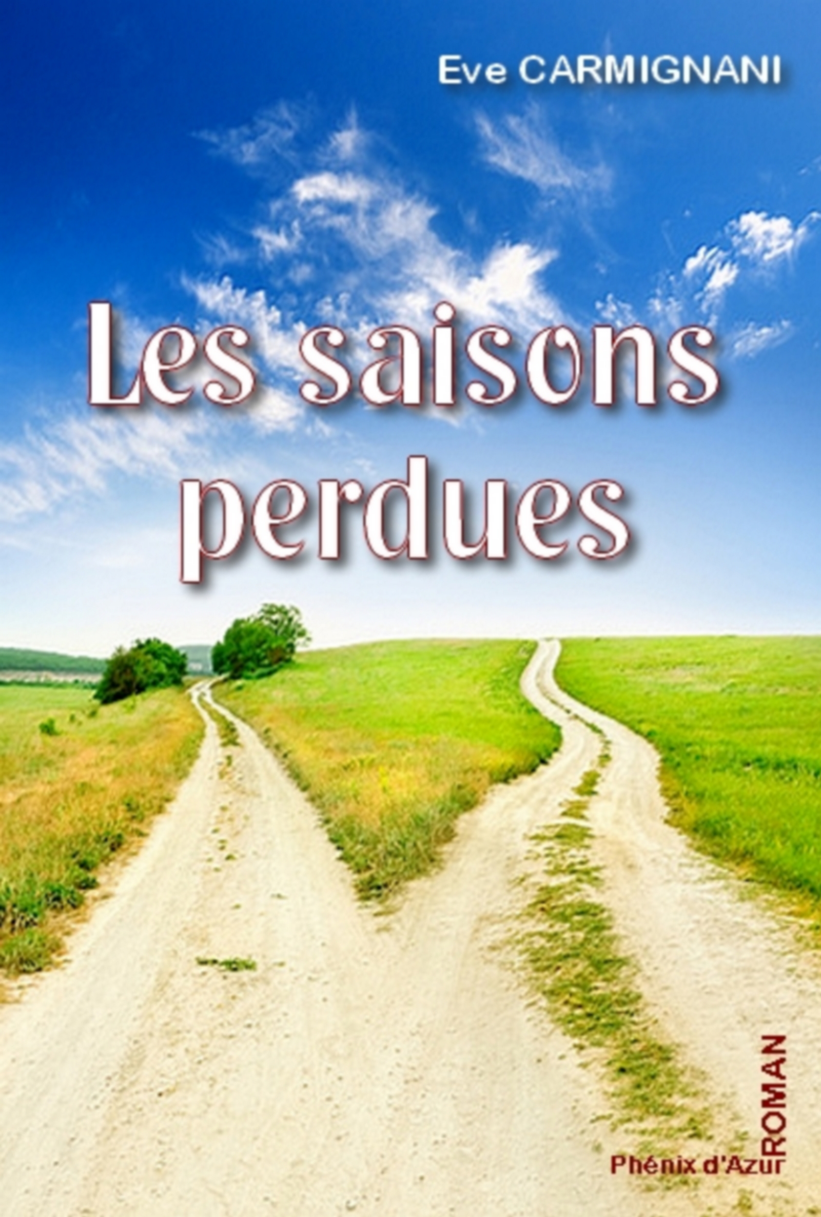 Les saisons perdues - CARMIGNANI - E-Book