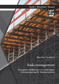 Risikomanagement: Strategische Maßnahmen zur nachhaltigen Gewinnsteigerung für Bauunternehmen - Martin Lechner - E-Book
