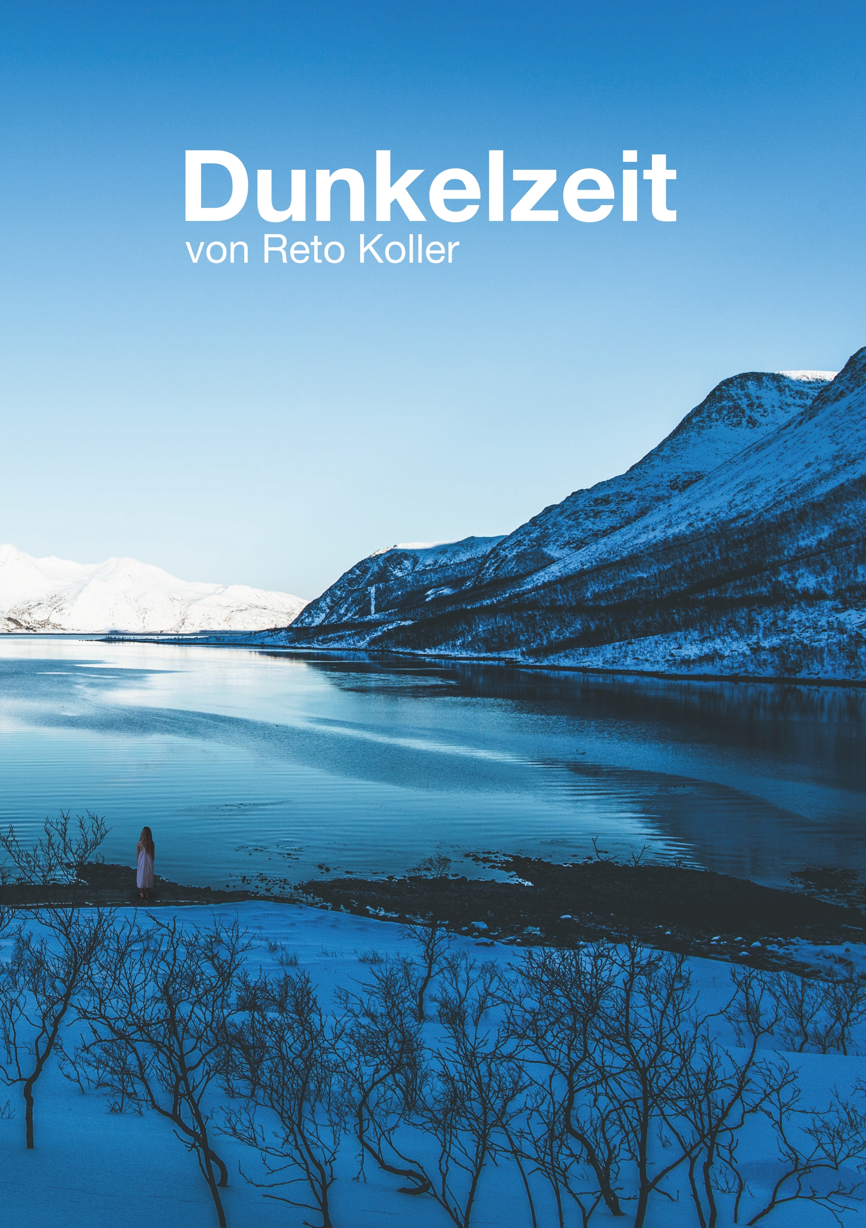 Dunkelzeit - Reto Koller - E-Book