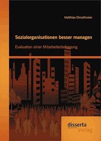Sozialorganisationen besser managen: Evaluation einer Mitarbeiterbefragung - Matthias Dimpflmaier - E-Book