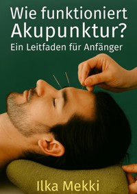 Wie funktioniert Akupunktur? - Ilka Mekki - E-Book