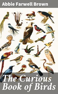 The Curious Book of Birds - Abbie Farwell Brown - E-Book
