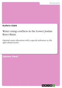 Water using conflicts in the Lower Jordan River Basin - Kathrin Stärk - E-Book