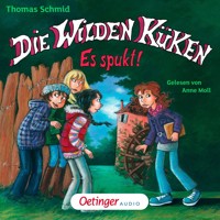 Die Wilden Küken 4. Es spukt! - Thomas Schmid - Hörbuch