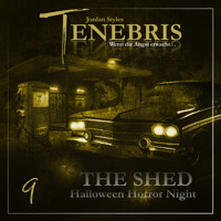 Tenebris, Folge 9: The Shed 1 - Halloween Horror Night - Jordan Styles - Hörbuch