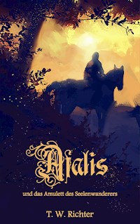 Afalis und das Amulett des Seelenwanderers - T. W. Richter - E-Book