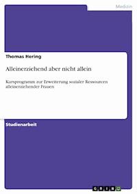 Alleinerziehend aber nicht allein - Thomas Hering - E-Book