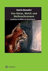 Von Katze, Molch und Weihnachtsmann - Katrin Benedict - E-Book