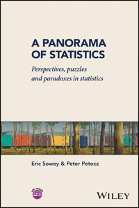A Panorama of Statistics - Eric Sowey - E-Book