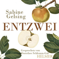 Entzwei - Sabine Gelsing - Hörbuch