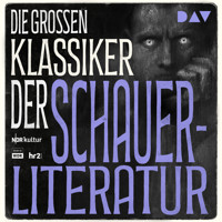 Die großen Klassiker der Schauerliteratur - E. T. A. Hoffmann - Hörbuch