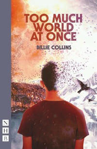 Too Much World at Once - Billie Collins - E-Book