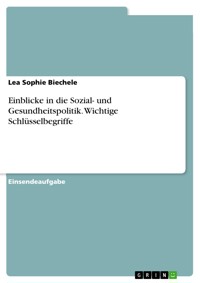 Einblicke in die Sozial- und Gesundheitspolitik. Wichtige Schlüsselbegriffe - Lea Sophie Biechele - E-Book