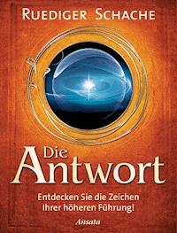 Die Antwort - Ruediger Schache - E-Book
