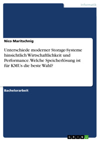 Unterschiede moderner Storage-Systeme hinsichtlich Wirtschaftlichkeit und Performance. Welche Speicherlösung ist für KMUs die beste Wahl? - Nico Maritschnig  - E-Book