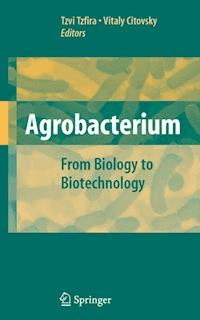 Agrobacterium: From Biology to Biotechnology - - E-Book