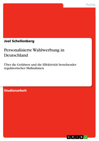 Personalisierte Wahlwerbung in Deutschland - Joel Schellenberg - E-Book