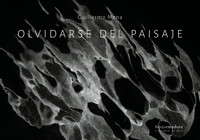 Olvidarse del paisaje - Guillermo Mena - E-Book