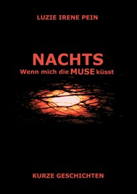 NACHTS - Luzie Irene Pein - E-Book