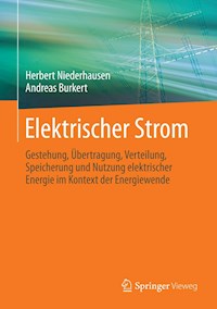 Elektrischer Strom - Herbert Niederhausen - E-Book