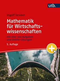Mathematik für Wirtschaftswissenschaften - Ingolf Terveer - E-Book