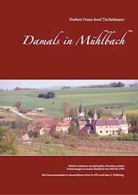 Damals in Mühlbach - Norbert Franz-Josef Tischelmayer - E-Book