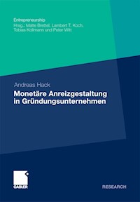 Monetäre Anreizgestaltung in Gründungsunternehmen - Andreas Hack - E-Book