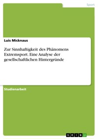 Zur Sinnhaftigkeit des Phänomens Extremsport. Eine Analyse der gesellschaftlichen Hintergründe - Luis Micknaus - E-Book