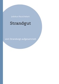 Strandgut - Jodokus Rauschebart - E-Book