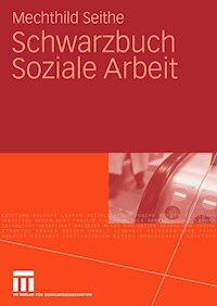 Schwarzbuch Soziale Arbeit - Mechthild Seithe - E-Book