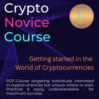 Crypto Novice Course - Mario Financial Insider - E-Book