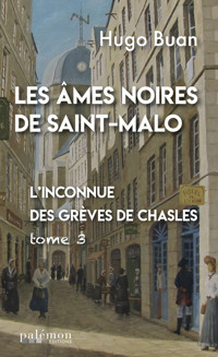 L'inconnue des Grèves de Chasles - Hugo Buan - E-Book