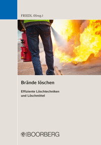 Brände löschen - Wolfgang J. Friedl - E-Book