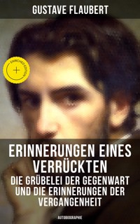 Erinnerungen eines Verrückten - Die Grübelei der Gegenwart und die Erinnerungen der Vergangenheit - Gustave Flaubert - E-Book