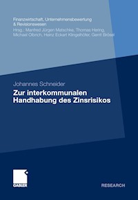 Zur interkommunalen Handhabung des Zinsrisikos - Johannes Schneider - E-Book