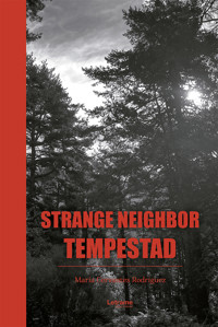 Strange Neighbor Tempestad - María Cervantes Rodríguez - E-Book