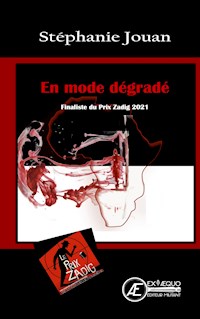 En mode dégradé - Stéphanie Jouan - E-Book
