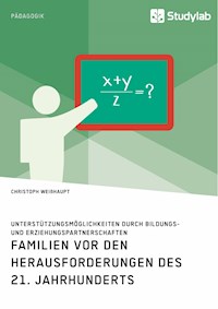 Familien vor den Herausforderungen des 21. Jahrhunderts - Christoph Weißhaupt - E-Book