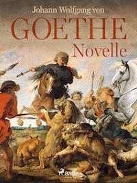 Novelle - Johann Wolfgang von Goethe - E-Book