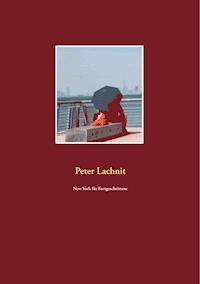 New York für Fortgeschrittene - Peter Lachnit - E-Book