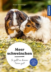 Meerschweinchen - Viola Schillinger - E-Book