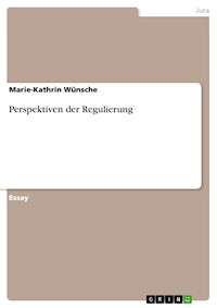 Perspektiven der Regulierung - Marie-Kathrin Wünsche - E-Book