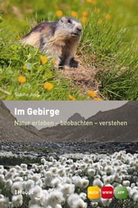 Im Gebirge - Sabine Joss - E-Book