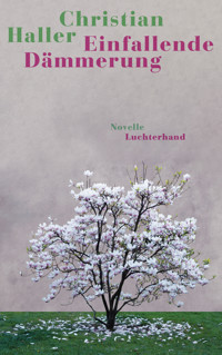 Einfallende Dämmerung - Christian Haller - E-Book