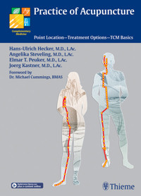 Practice of Acupuncture - Hans-Ulrich Hecker - E-Book
