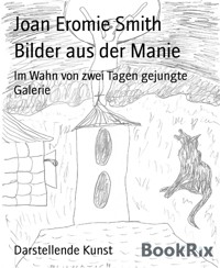 Bilder aus der Manie - Joan Eromie Smith - E-Book