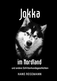 Jokka - Hans Rosemann - E-Book
