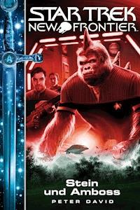 Star Trek - New Frontier 13: Stein und Amboss - DAVID PETER - E-Book