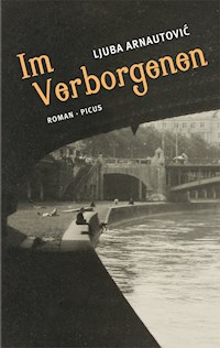 Im Verborgenen - Ljuba Arnautović - E-Book