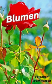 Blumen - Josef Hansen - E-Book